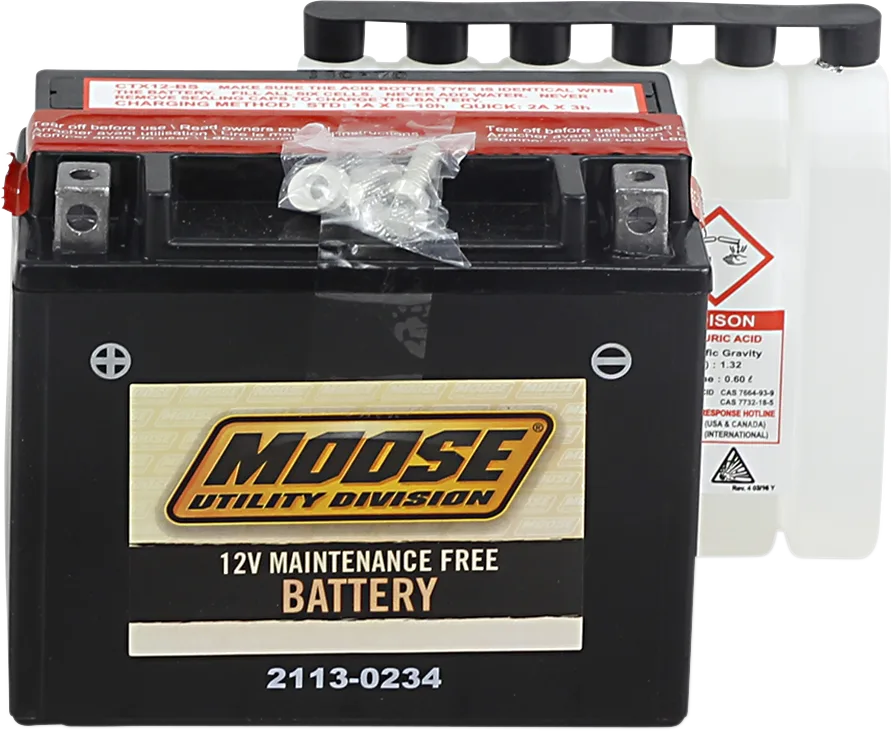 AGM Maintenance-Free Battery