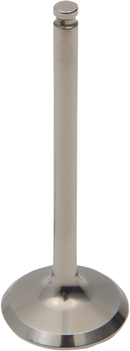 Engine Valve
