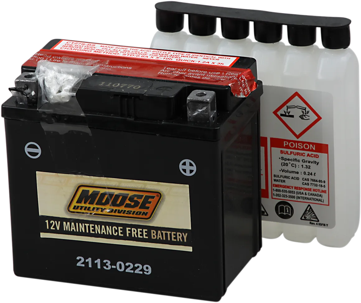 AGM Maintenance-Free Battery