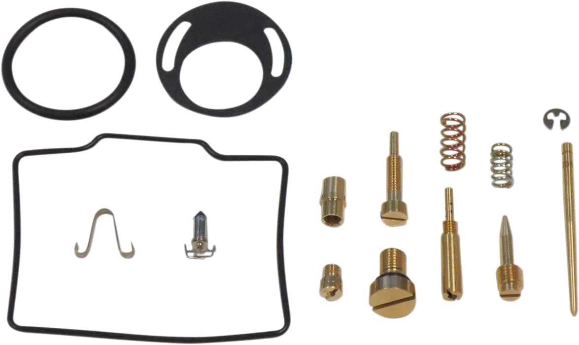 Carburetor Repair Kit