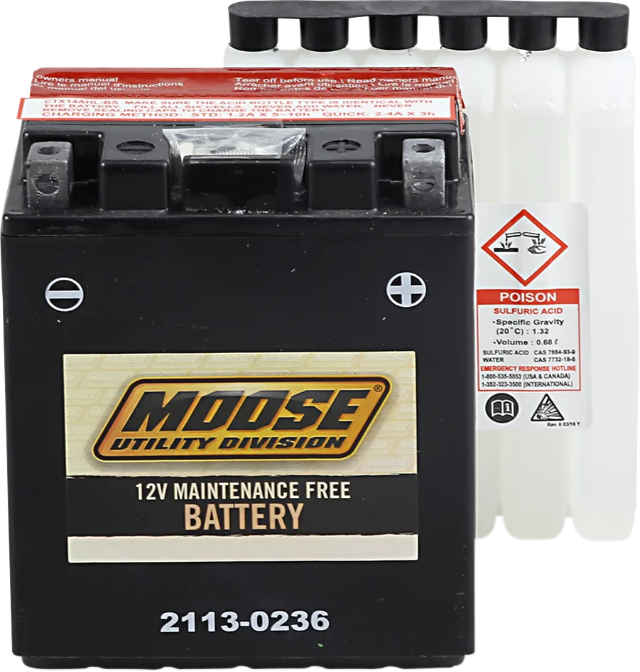 AGM Maintenance-Free Battery