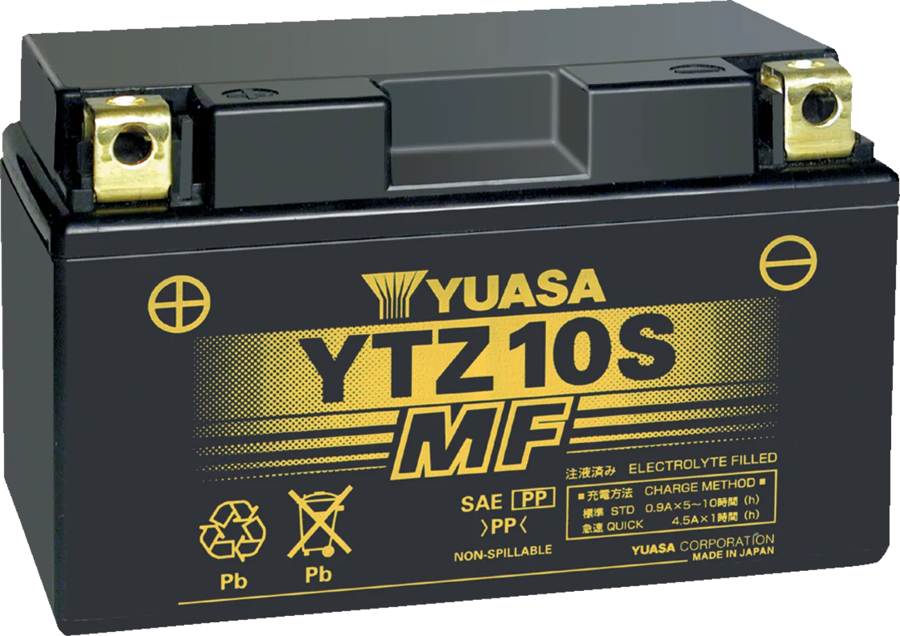 High Performance AGM Maintenance-Free Battery