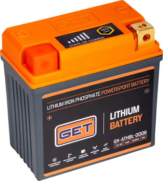 Lithium LiFePO4 Battery