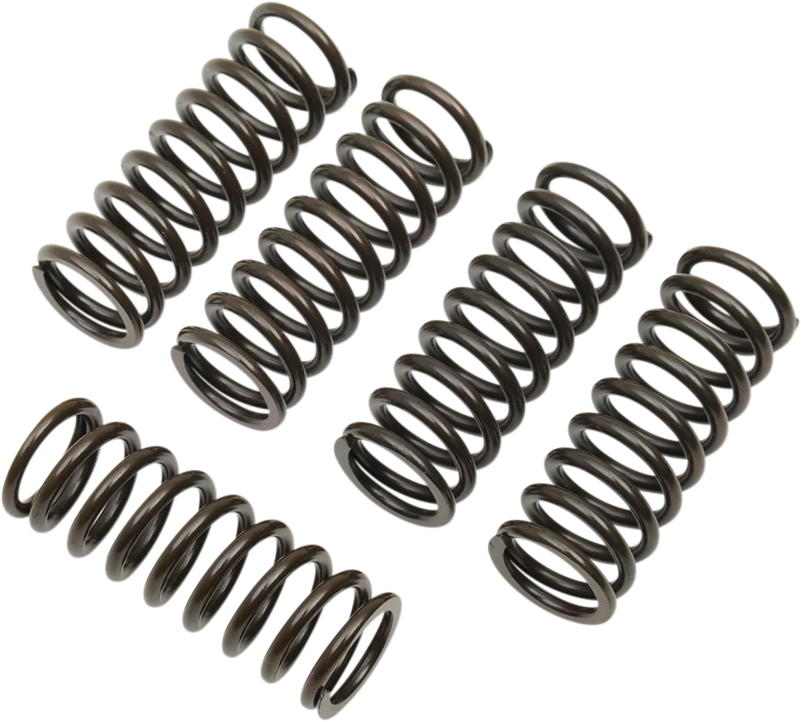 Clutch Spring Kit