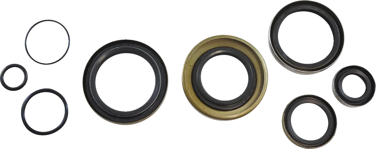 Oil Seal Kit