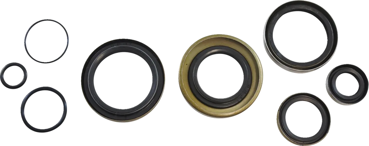 Oil Seal Kit