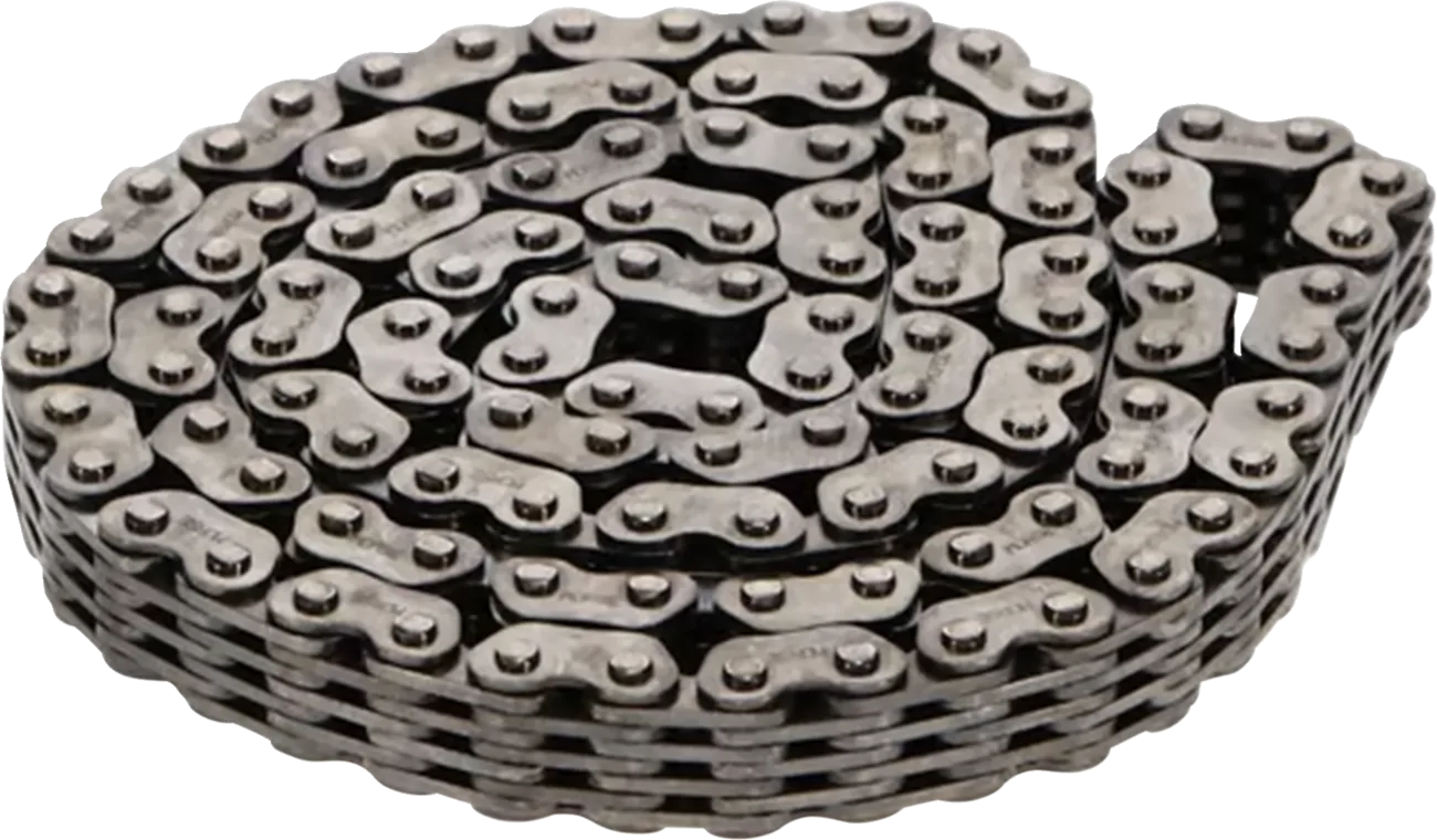 Cam Chain