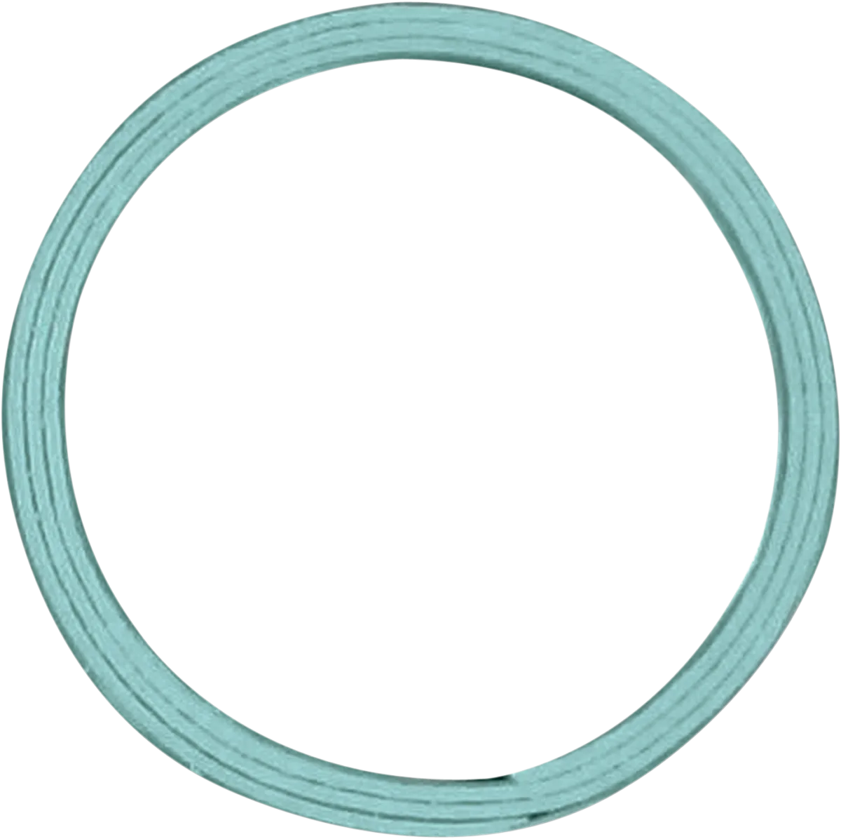 Exhaust Gasket