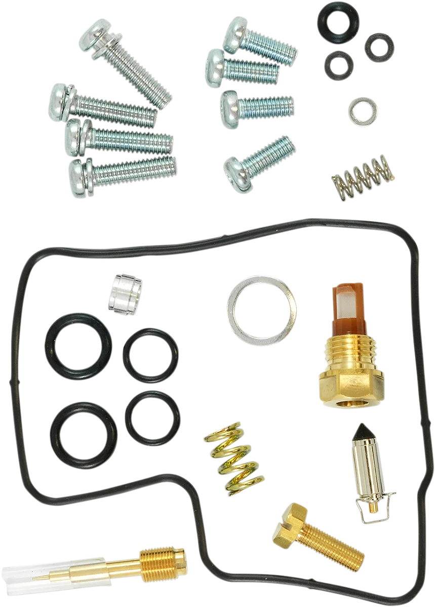 Carburetor Repair Kit