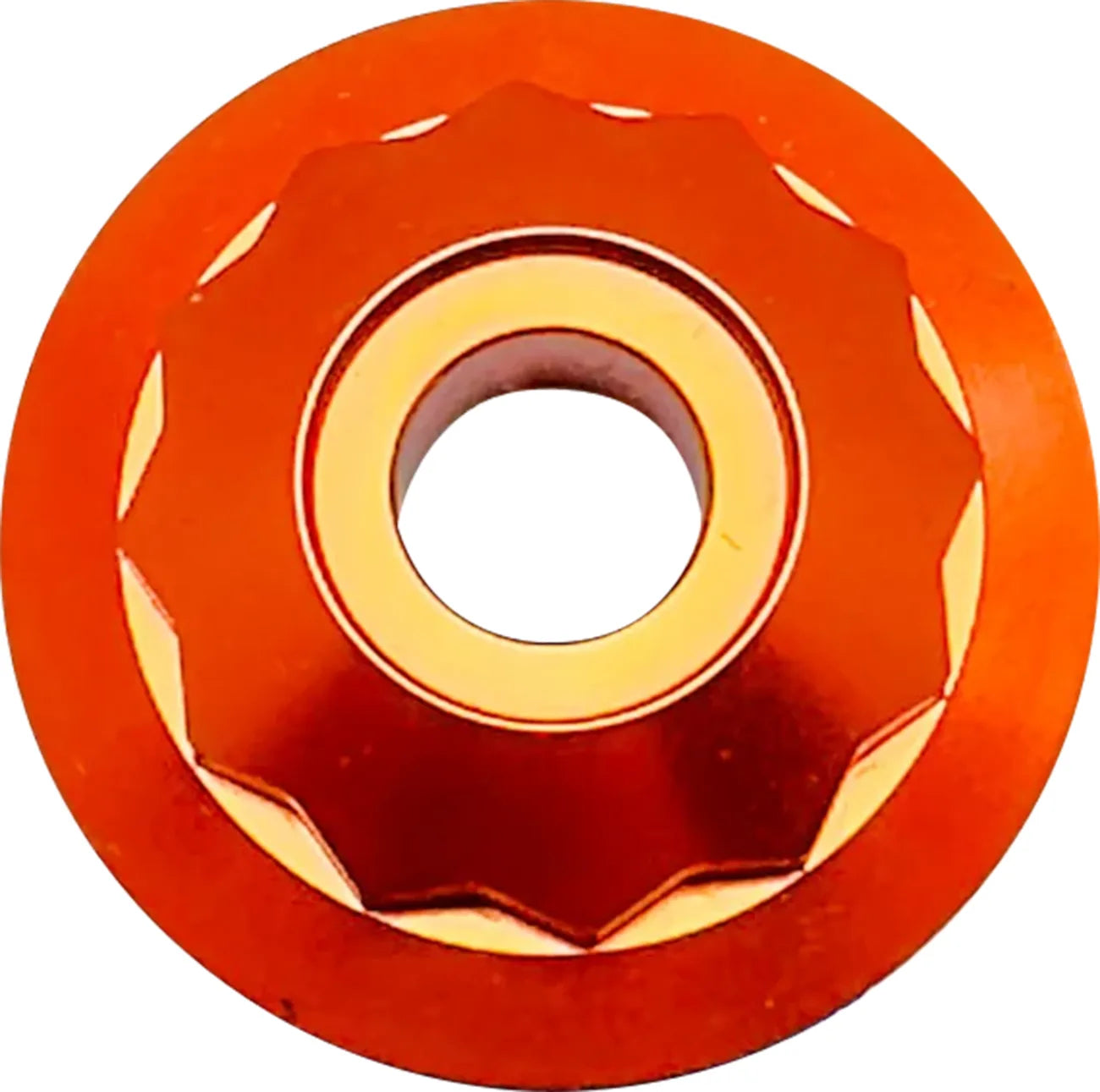 Steering Stem Nuts