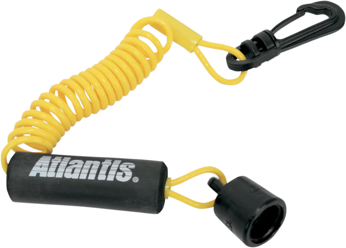 Lanyard