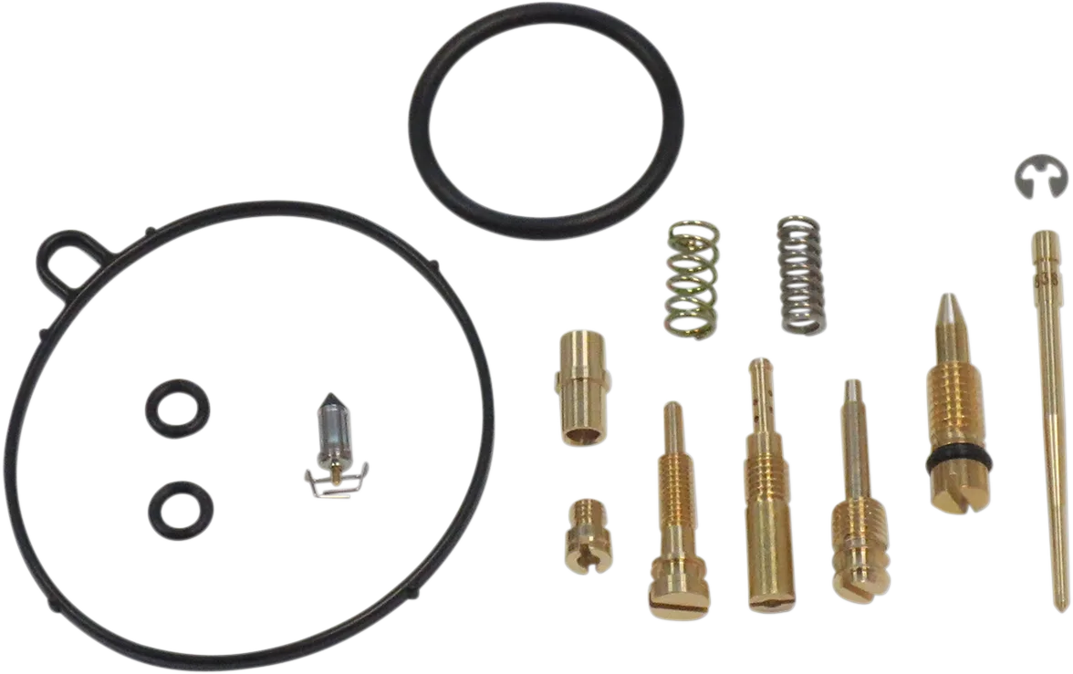 Carburetor Repair Kit
