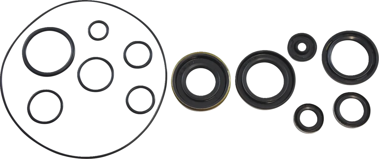 Oil Seal Kit