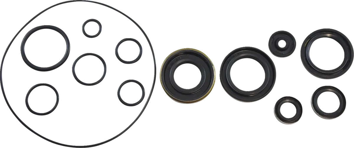Oil Seal Kit