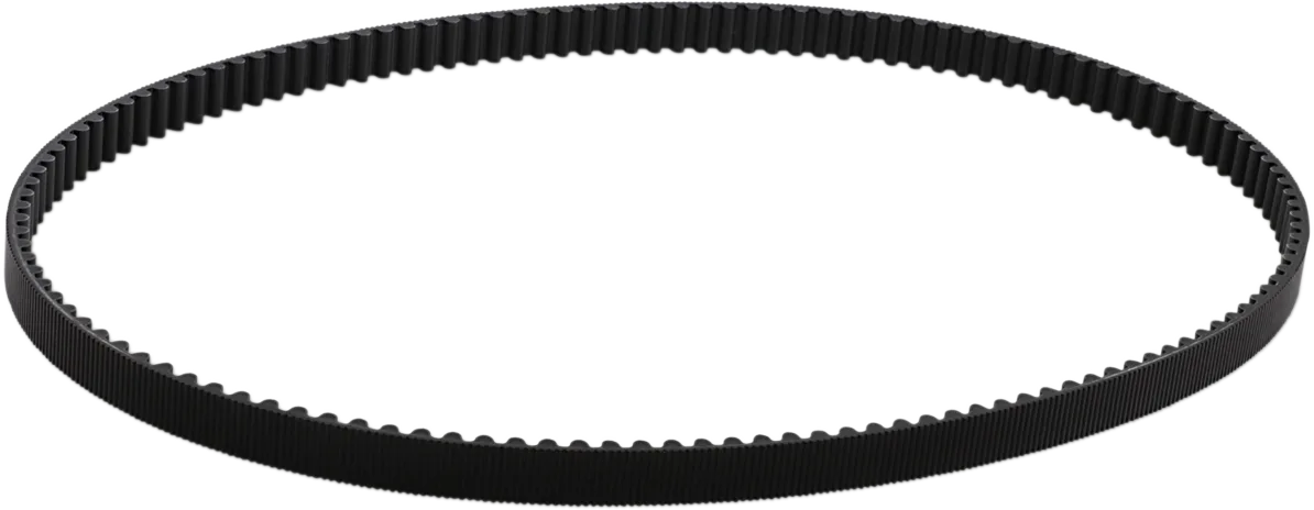Rear Drive Belt