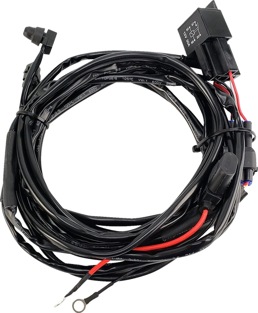 Wire Harness with Switch