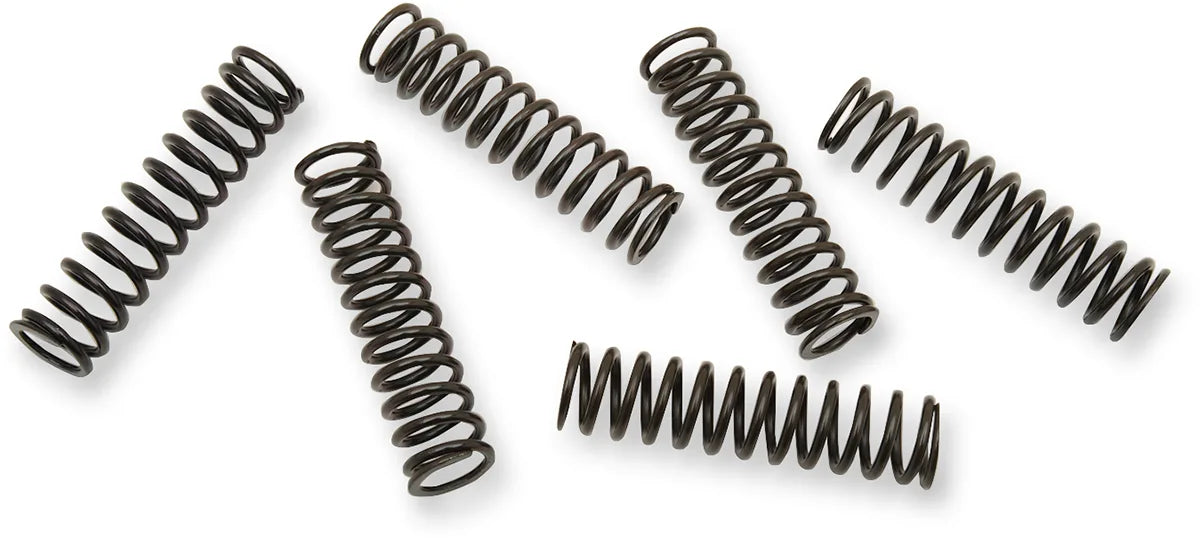 Clutch Spring Kit