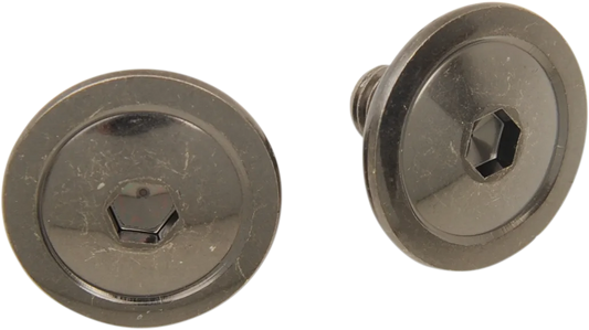 F.I. Helmet Visor Screws