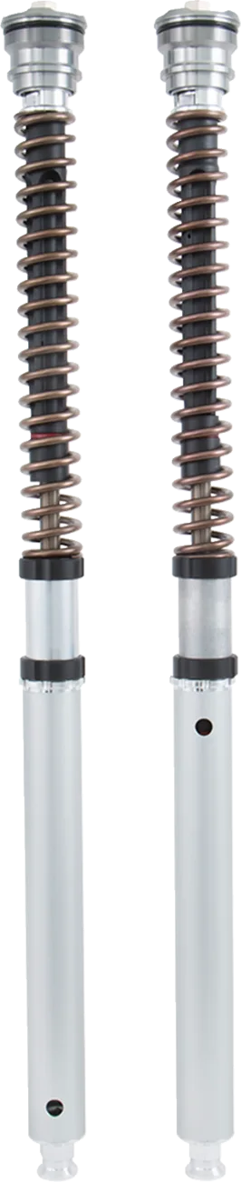 FGK Road/Track 30 mm Front Fork Cartridge Kit