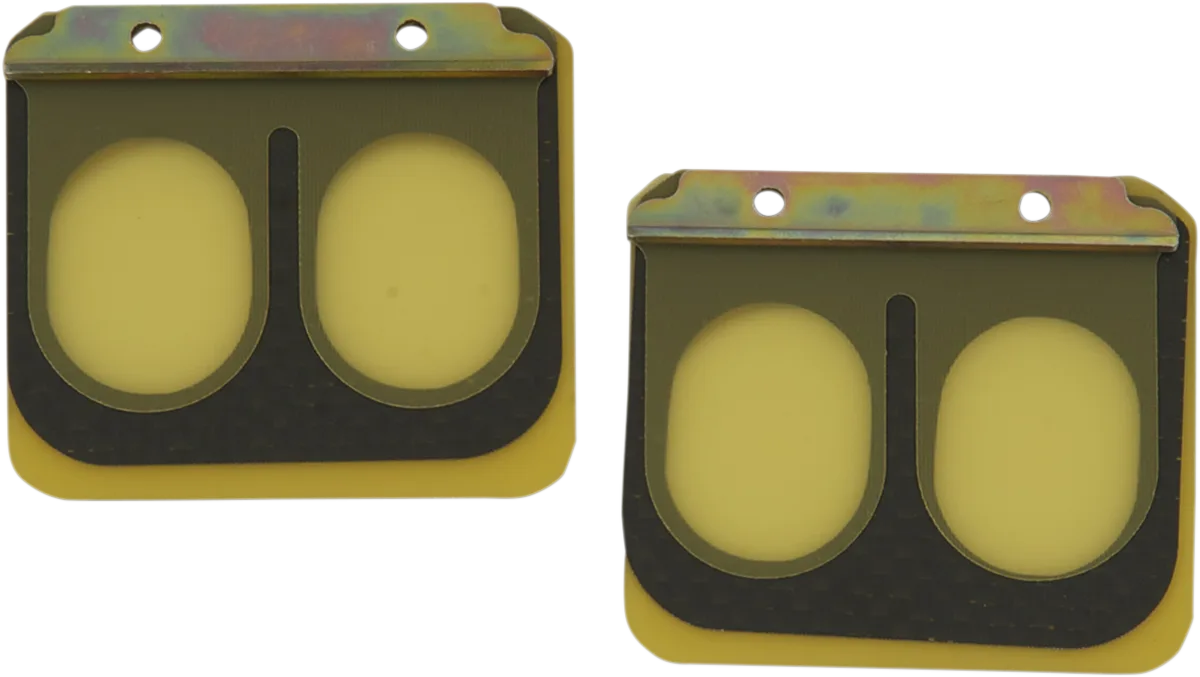 Replacement Pro Series Reed Set for RAD Valve