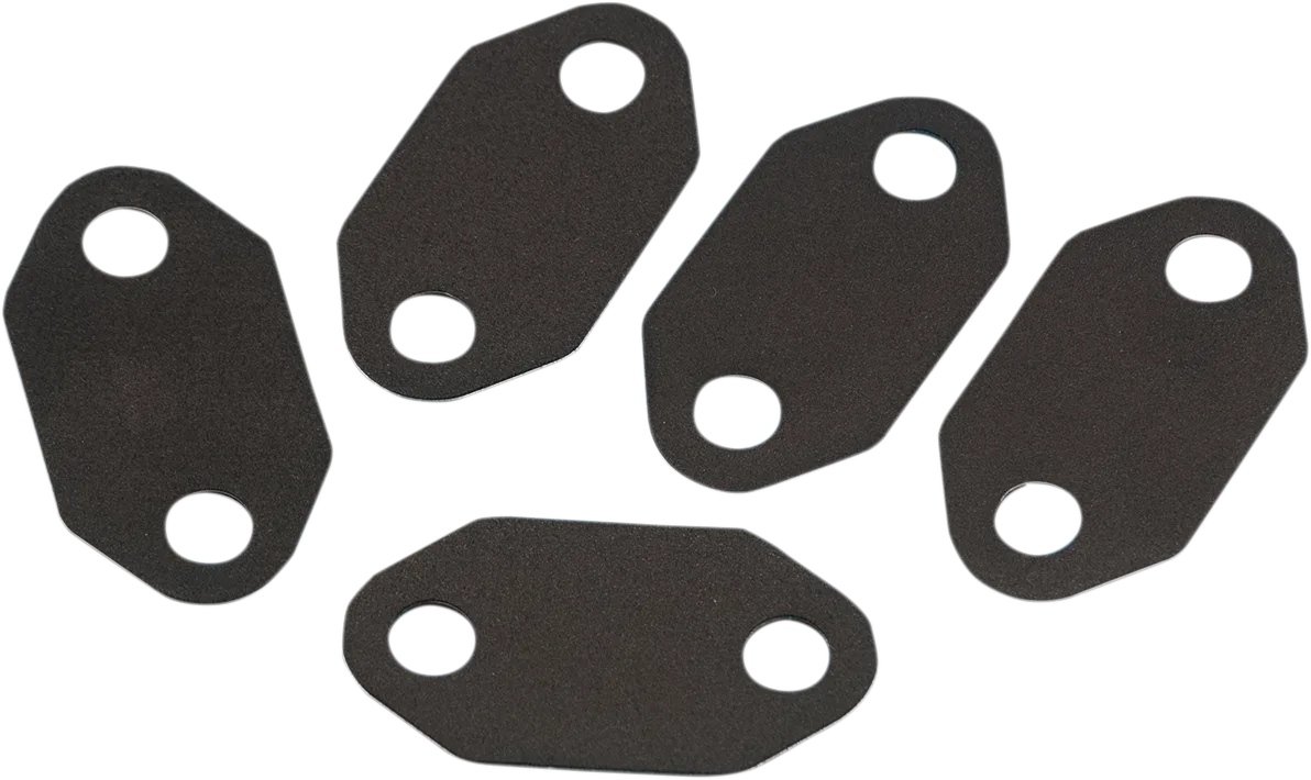 Derby/Inspection Cover Gasket Kit