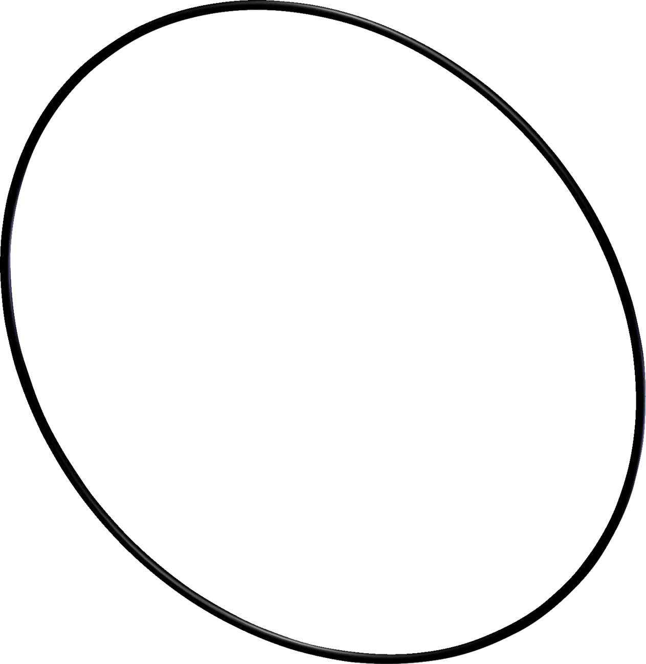 Replacement Cover O-Ring