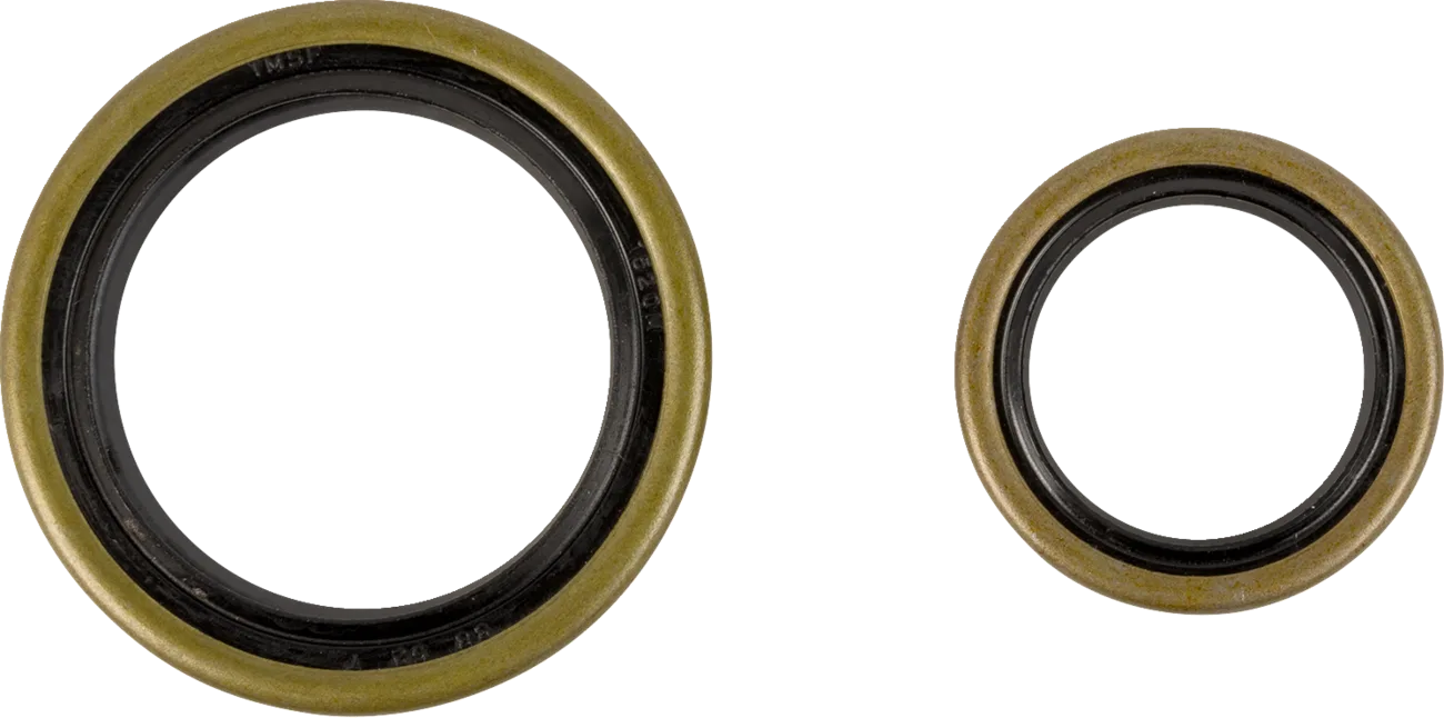 Crankshaft Oil Seal Kit