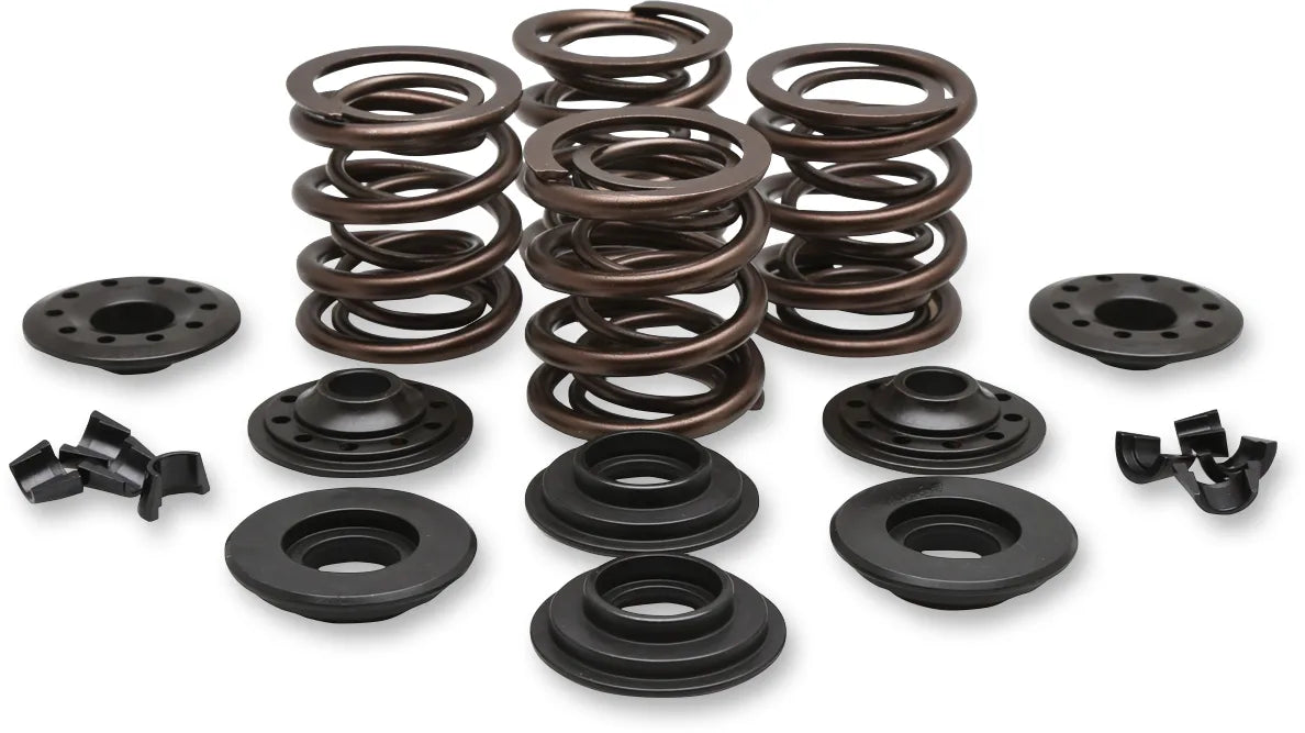 OEM Replacement Valve Spring Kit
