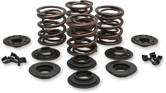 OEM Replacement Valve Spring Kit