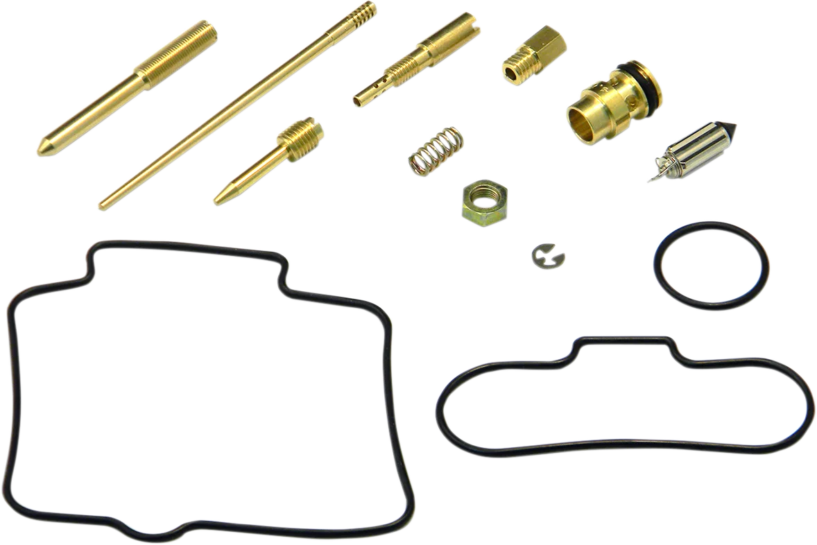 Carburetor Repair Kit