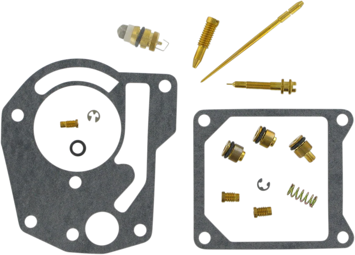Carburetor Repair Kit
