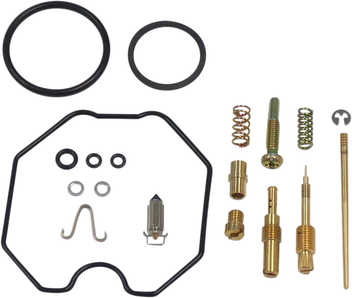 Carburetor Repair Kit
