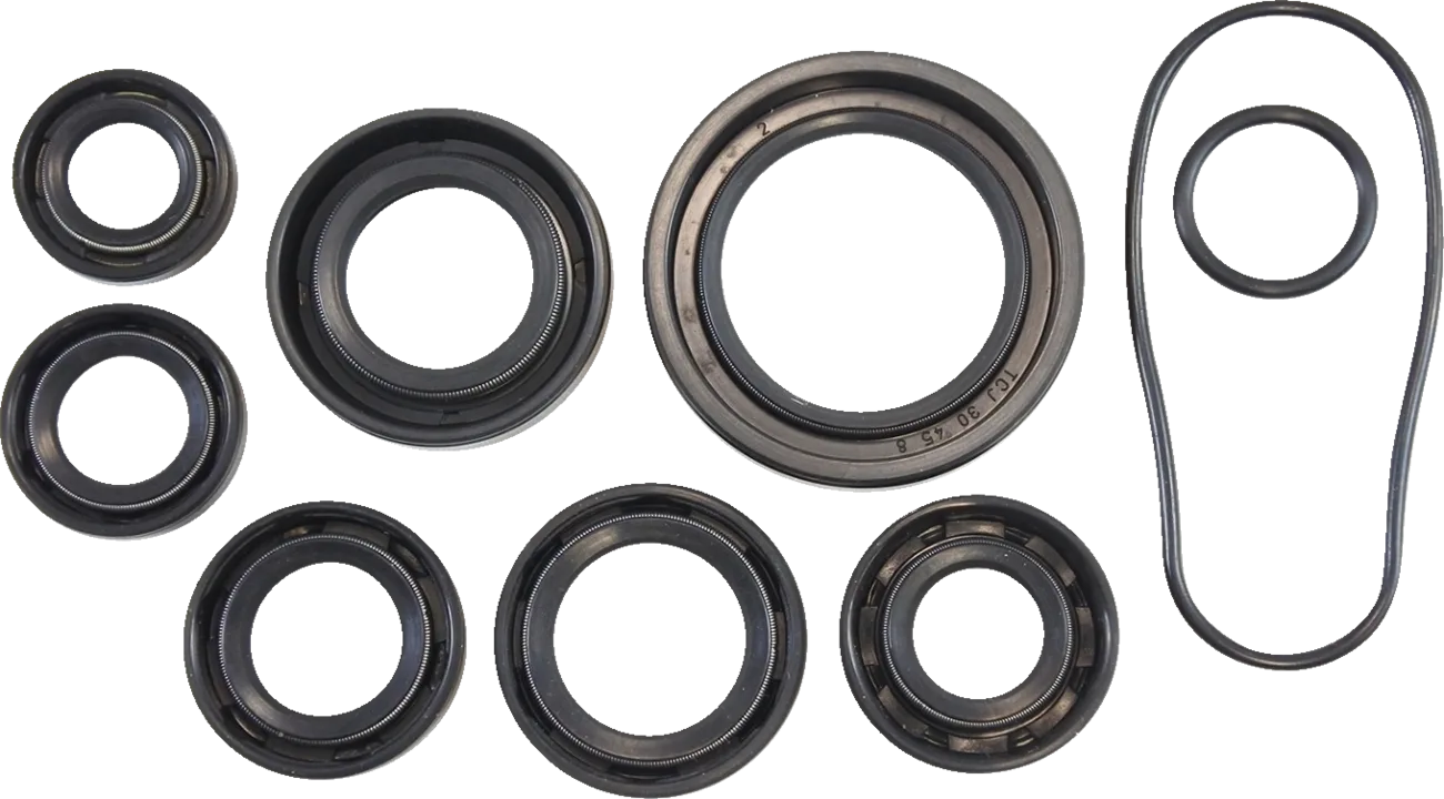 Oil Seal Kit