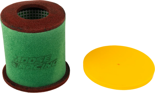 Pro Air Filter with Cage