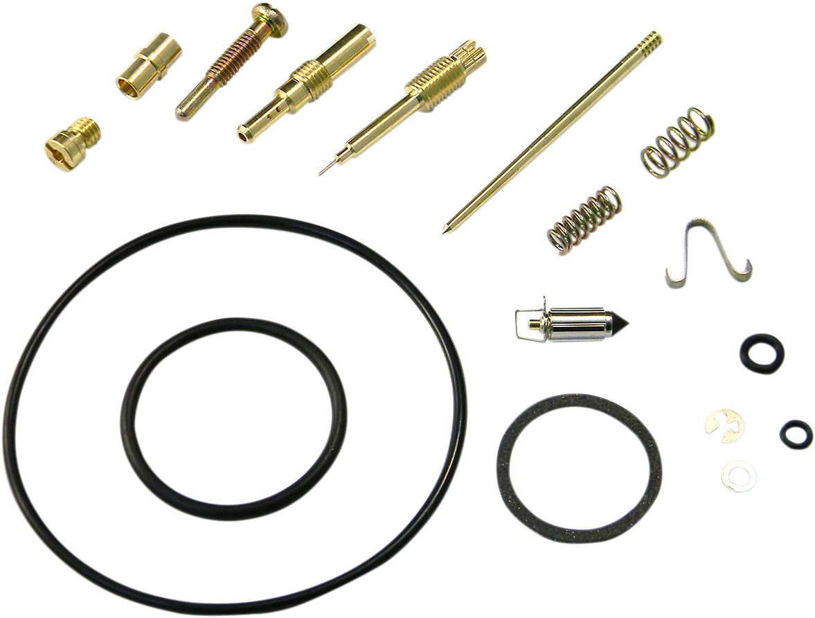 Carburetor Repair Kit