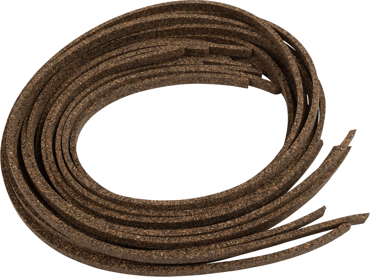 Primary Gasket