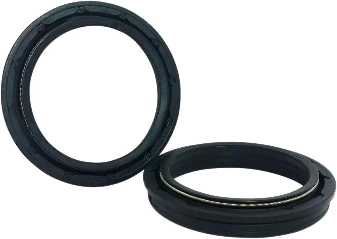 Dust Seal