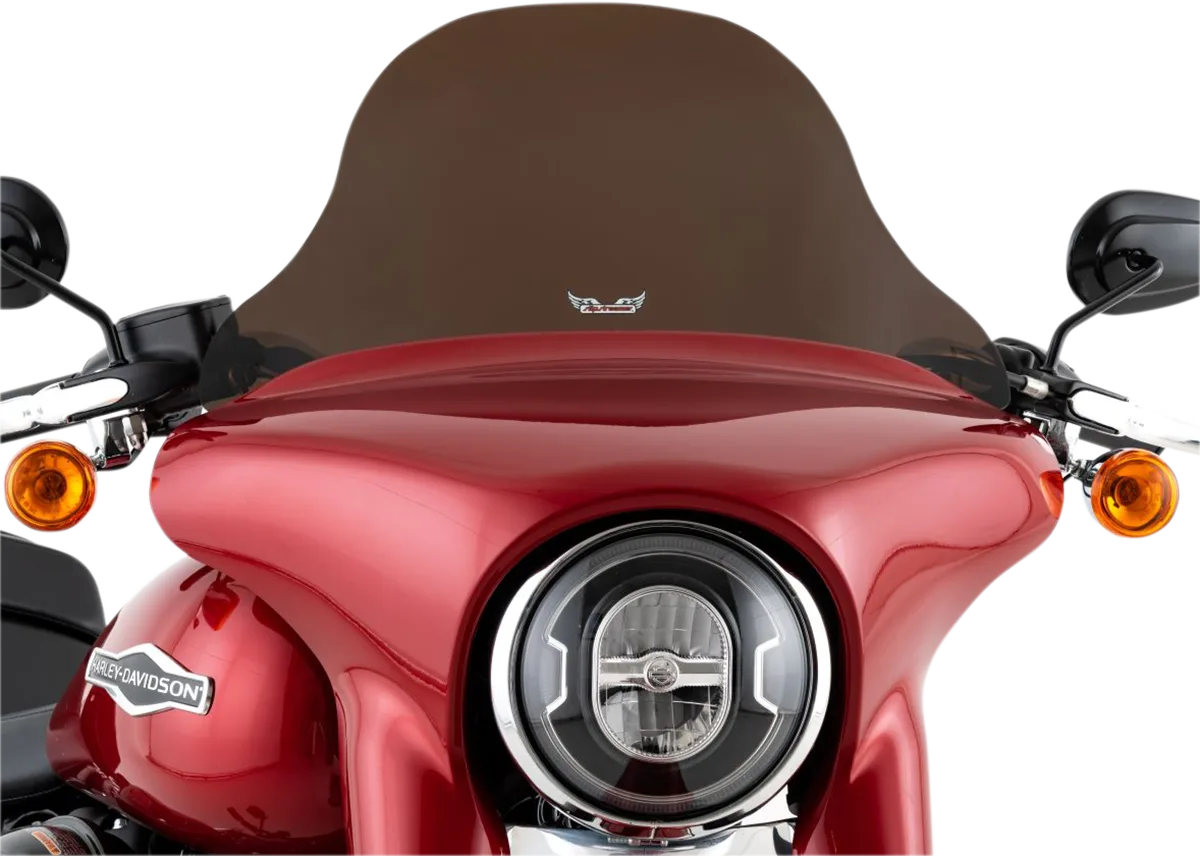 Windshield