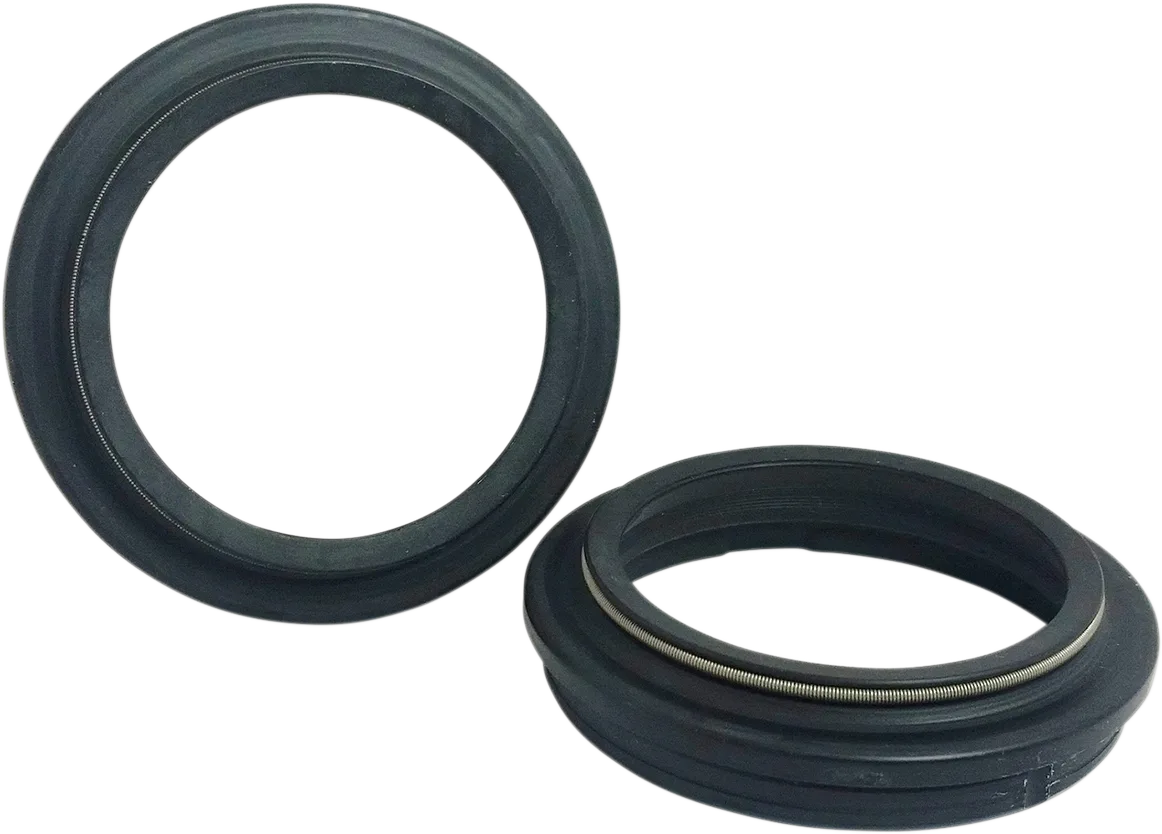 Dust Seal