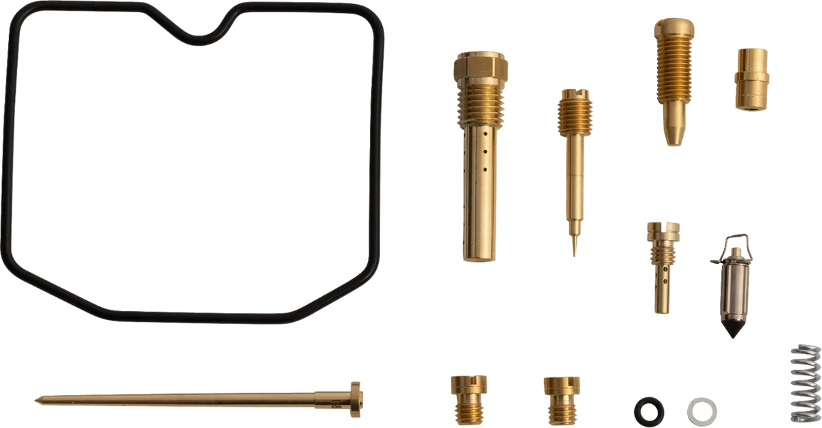 Carburetor Repair Kit