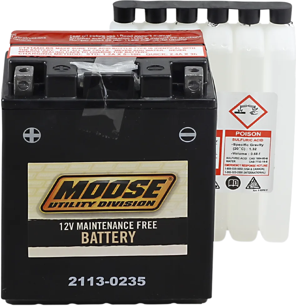 AGM Maintenance-Free Battery