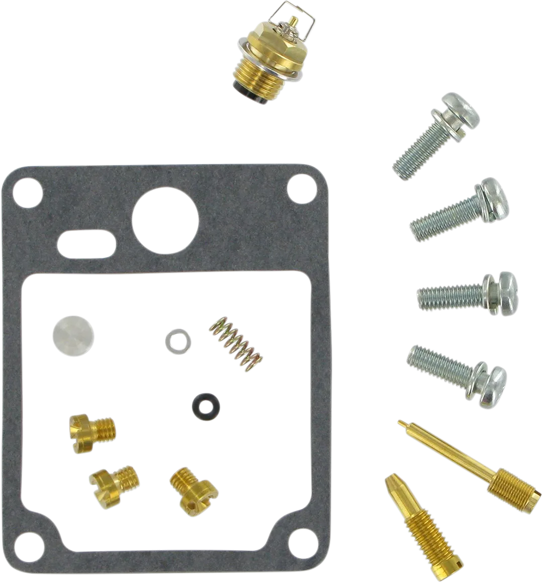 Carburetor Repair Kit