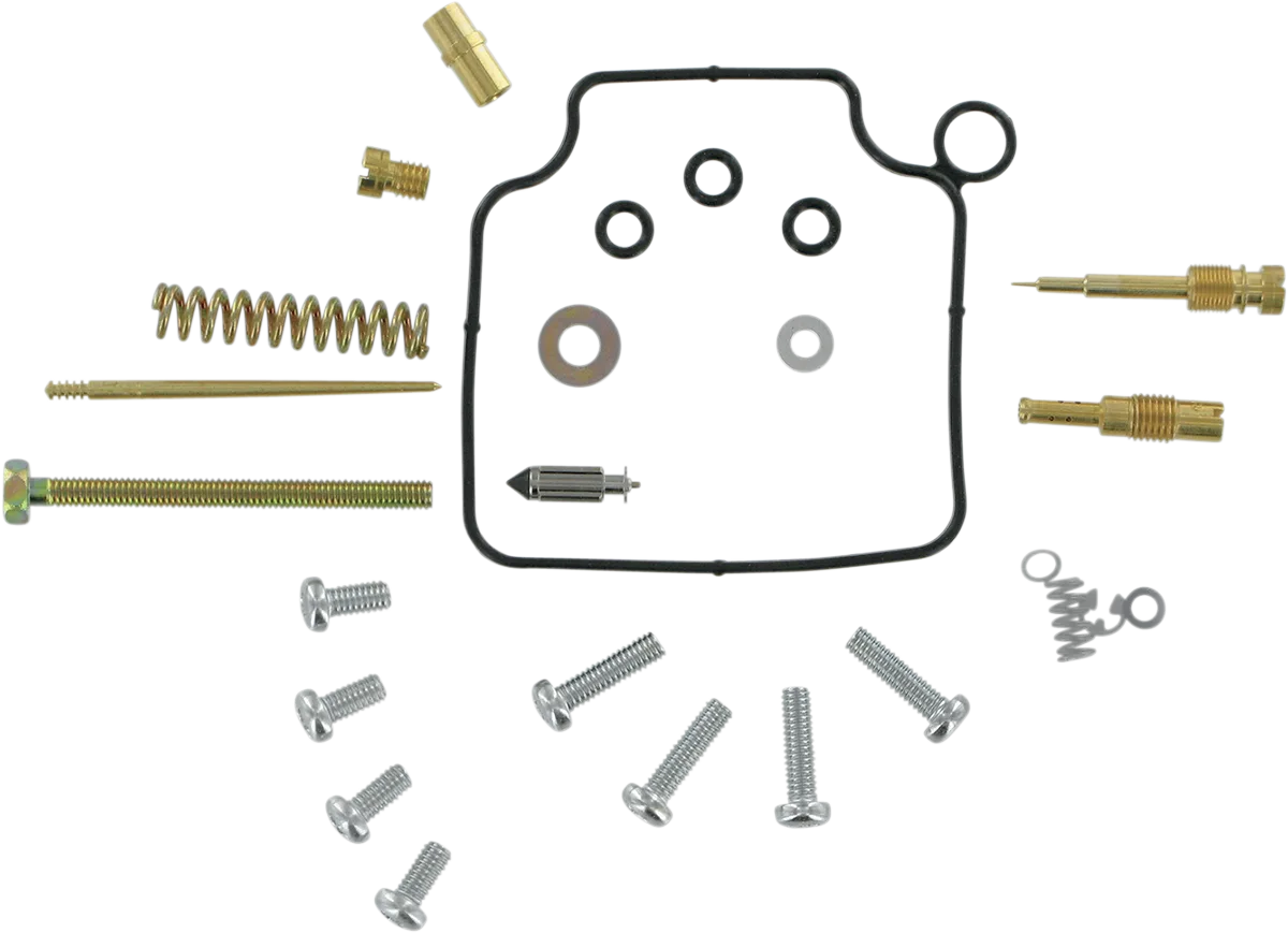 Carburetor Repair Kit