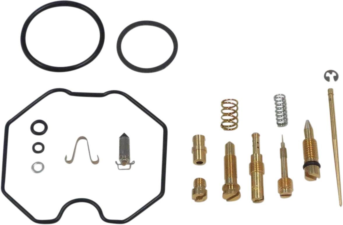 Carburetor Repair Kit
