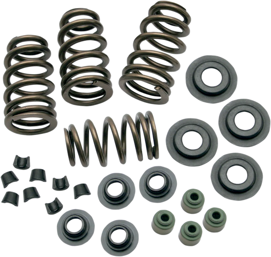 0.650" Sidewinder® Valve Spring Kit