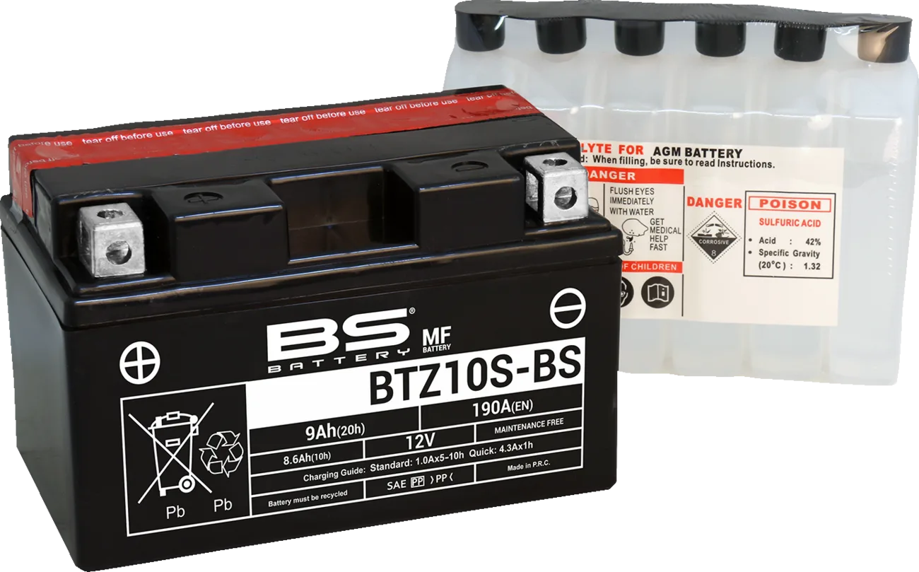 Maintenance-Free Battery