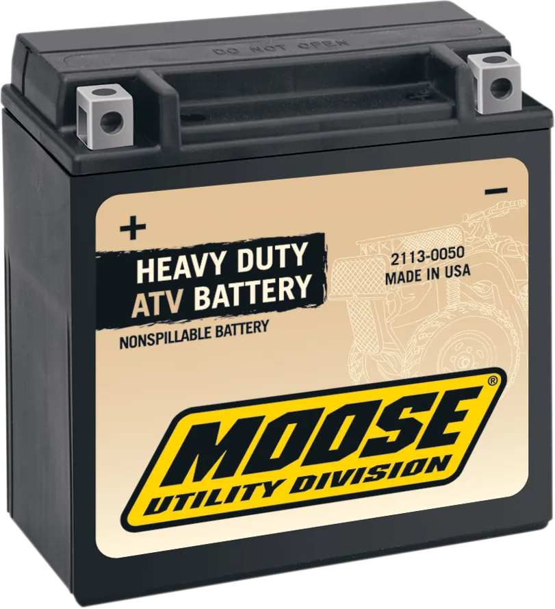 Factory-Activated AGM Maintenance-Free Battery