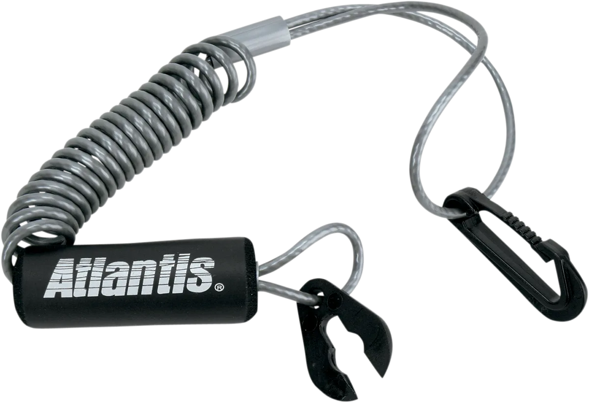 Lanyard