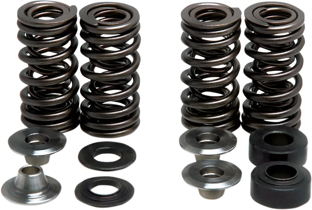 Valve Spring Kit