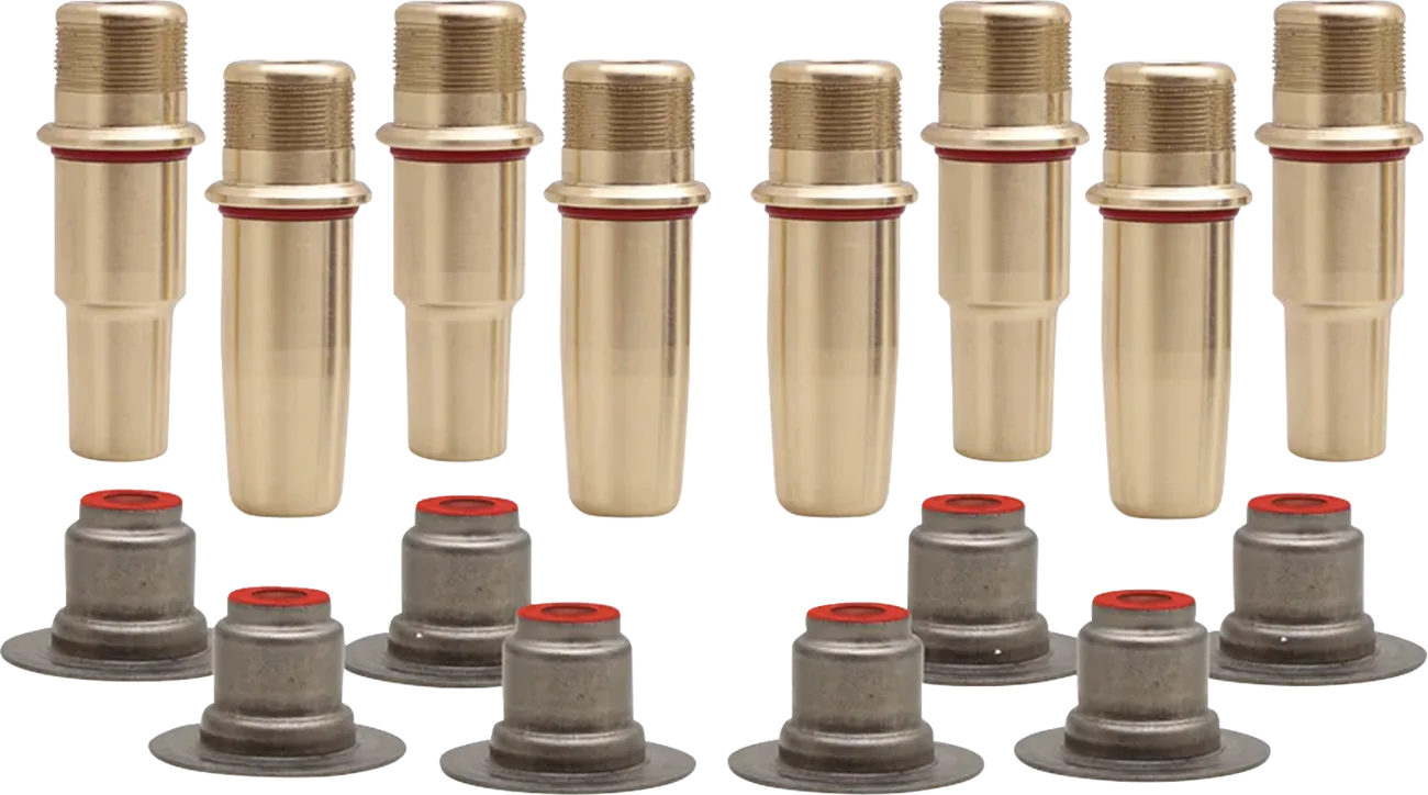 Valve Guide Kit